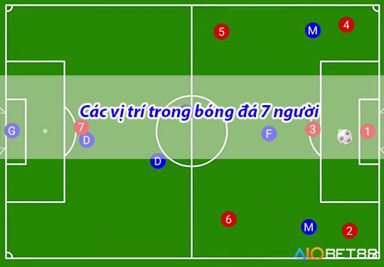 Cùng alobet88 khám phá các vị trí trong bóng đá 7 người nhé