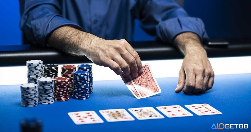 Các fish thiếu kinh nghiệm thường không biết cách để ý và quan sát đối thủ