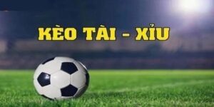Kinh nghiệm bắt kèo tài xỉu hiệu quả nhất từ chuyên gia 2025
