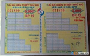 Xổ số lô tô là gì? Hướng dẫn từ cách chơi, bí quyết trúng thưởng