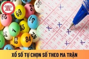 Xổ số ma trận là gì? Hướng dẫn cách chơi cho người mới