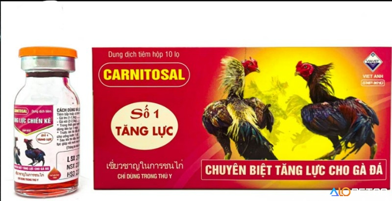 Chế độ dinh dưỡng giàu khoáng và vitamin là bí quyết giữ phong độ cho gà chiến