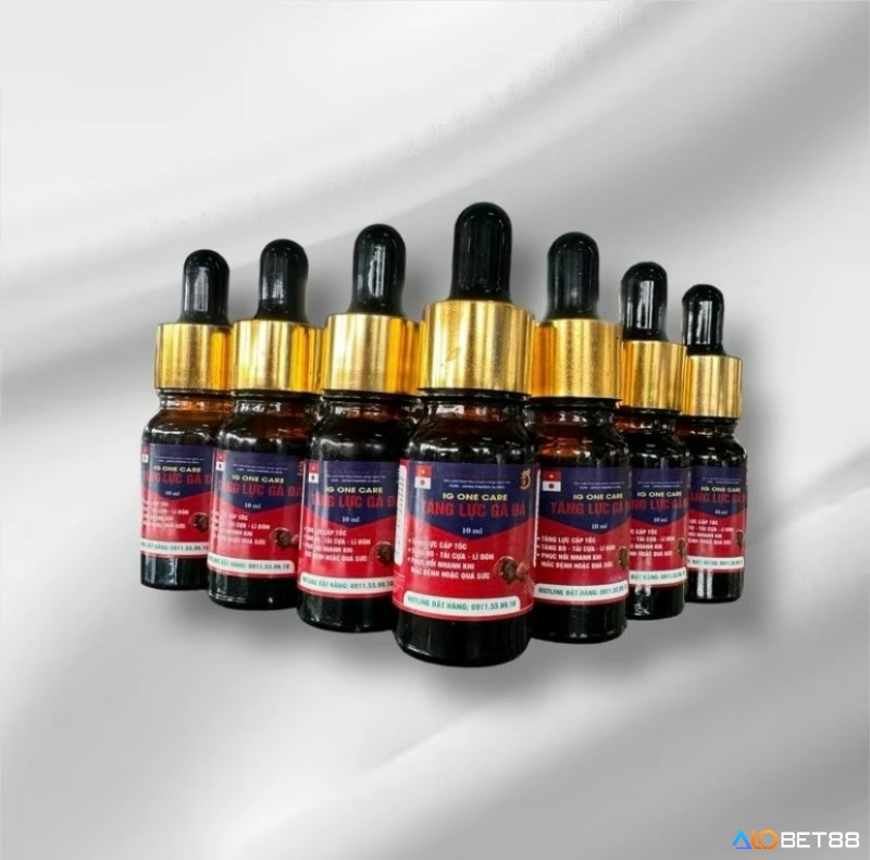 Thuốc tăng lực gà đá - Kết tinh giữa y học thú y và kinh nghiệm dân gian trong chăm sóc gà chiến