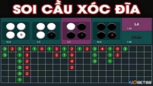 Cách soi cầu sóc đĩa: Khám phá phương pháp từ chuyên gia