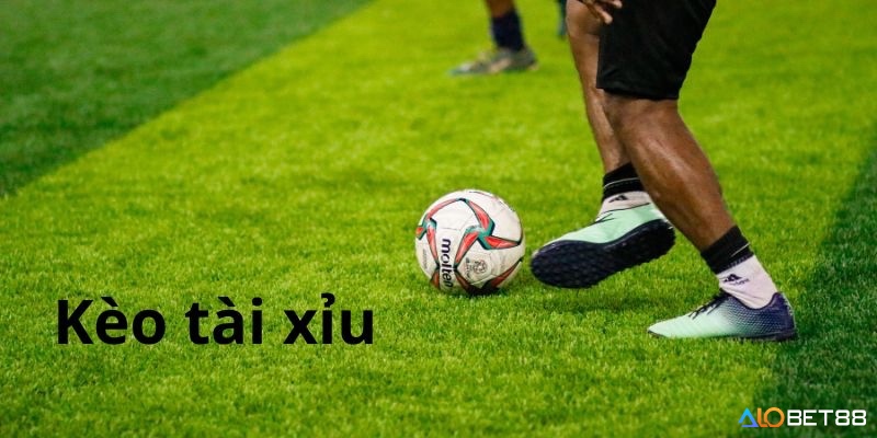 Người chơi phân biệt kèo 2.25 với 2.0 và 2.5 để hiểu cách xử lý khi tổng bàn thắng là 2 và tận dụng nửa tiền