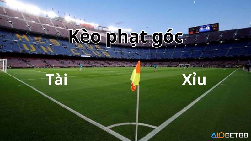 Các kèo phụ như phạt góc, thẻ phạt hay cầu thủ ghi bàn mang lại trải nghiệm phong phú và đa dạng.
