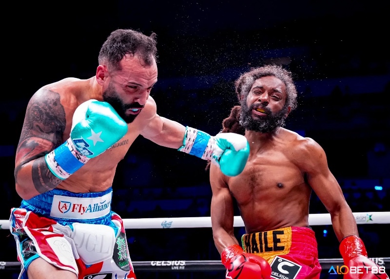 Người chơi dự đoán võ sĩ chiến thắng bằng knock-out, tính điểm hoặc truất quyền thi đấu.