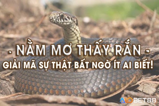 Cùng alobet88 giải mã giấc mơ thấy rắn chết chuẩn xác nhé