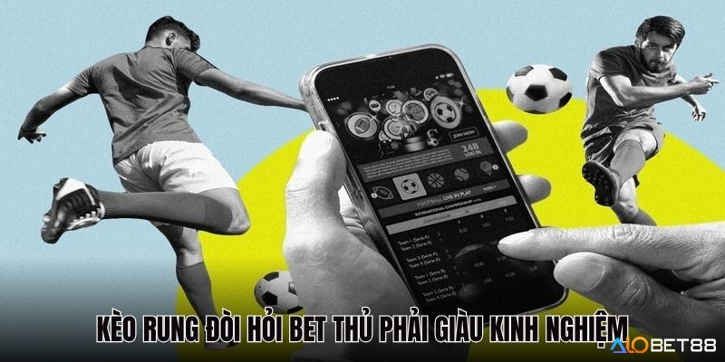 Thị trường Việt Nam đa dạng kèo rung như tài xỉu, chấp, phạt góc giúp người chơi linh hoạt lựa chọn chiến thuật