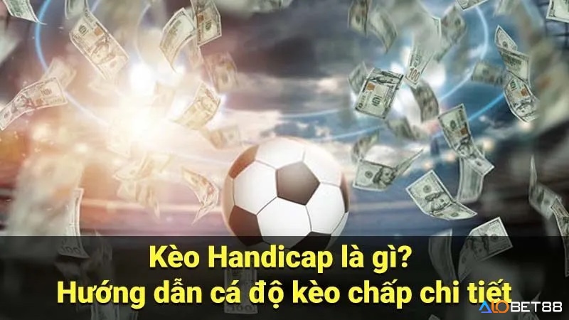 Các con số đặc trưng trong thể loại cược Handicap quyết định cách tính kết quả cược.