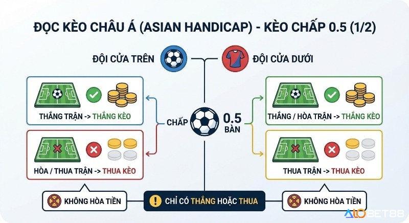 Sơ đồ chi tiết cách đọc kèo Châu Á chấp 0.5 (1/2) cho đội cửa trên và đội cửa dưới, chỉ có thắng hoặc thua