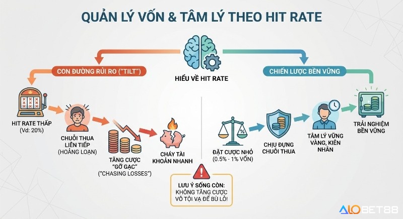 Sơ đồ so sánh quản lý vốn và tâm lý theo Hit Rate: tránh rủi ro "tilt" bằng chiến lược đặt cược nhỏ và kiên nhẫn