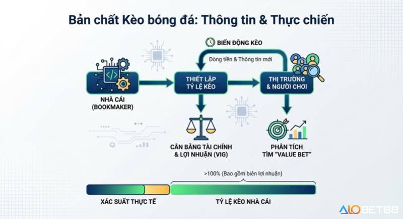 Sơ đồ bản chất kèo bóng đá: nhà cái thiết lập tỷ lệ, cân bằng tài chính và biên lợi nhuận, người chơi tìm kiếm value bet trong kèo bóng đá là gì