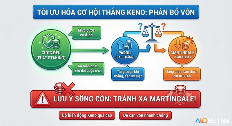 Sơ đồ chiến lược phân bổ vốn Keno: so sánh Flat Staking an toàn, Paroli kỷ luật và cảnh báo rủi ro cao từ Martingale