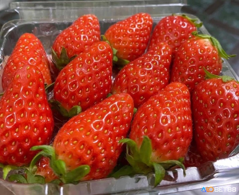 Mơ thấy quả dâu thường liên quan đến các mối quan hệ cá nhân