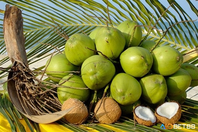 Dừa trong dân gian được xem là loại trái cây tượng trưng cho sự đủ đầy và may mắn