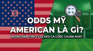 Odds Mỹ American là gì? Hướng dẫn tính tỷ lệ kèo chuẩn nhất