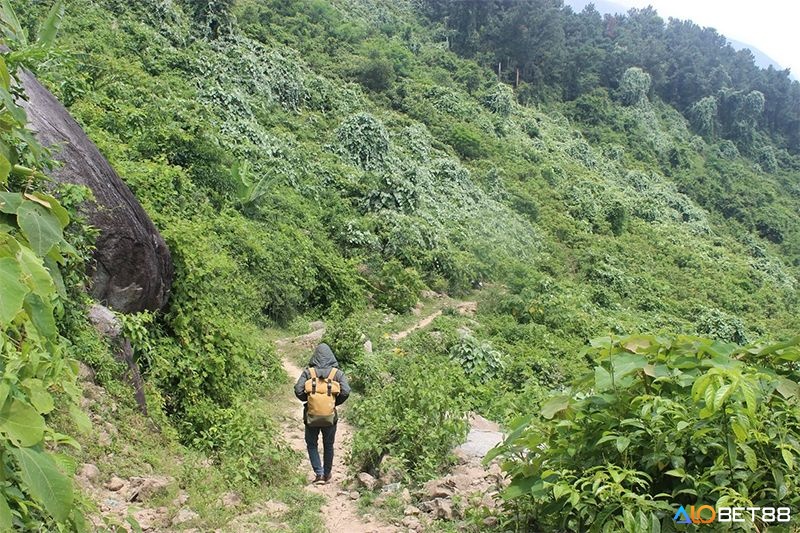 Giải mã giấc mơ thấy đi lạc số mấy và các điềm báo liên quan