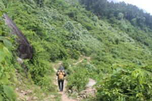 Mơ thấy đi lạc số mấy? Giải mã chi tiết và con số may mắn