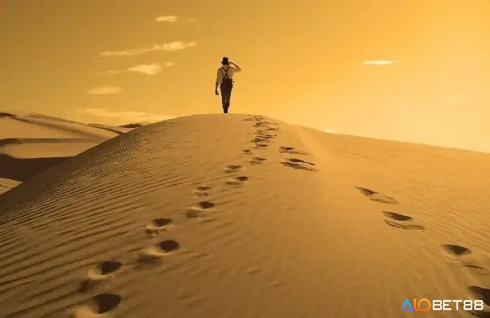 Giấc mơ thấy đi lạc nhắc nhở bạn cần định hướng rõ ràng cho cuộc sống của mình