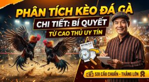 Phân tích kèo đá gà chi tiết: Bí quyết từ cao thủ uy tín